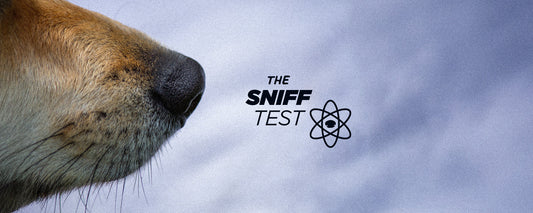 The Sniff Test: How to test your dog’s treats (and food) to see if they’re telling the truth.